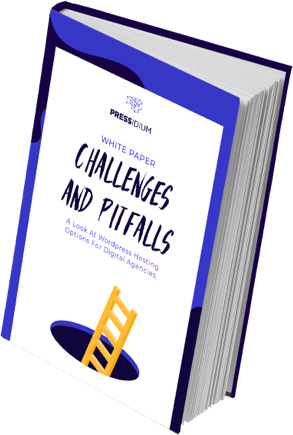 Challenges And Pitfalls