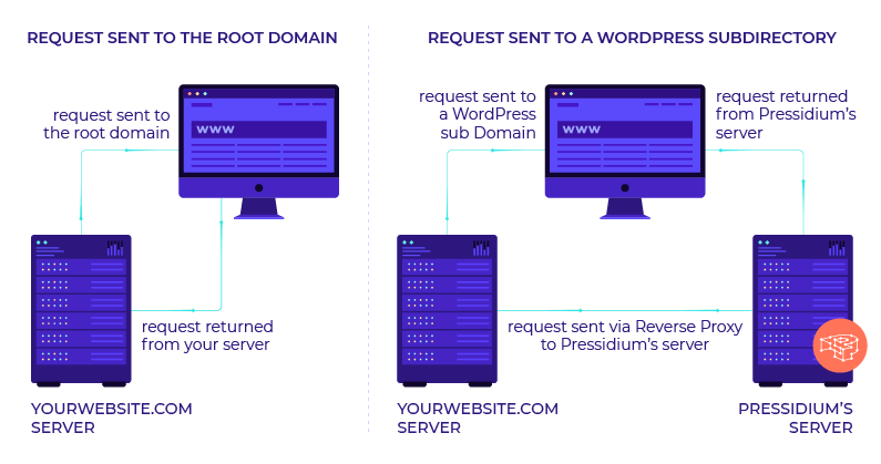 Reverse Proxy: What It Is and How It Elevates Your Website Performance