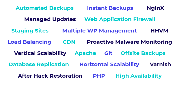 Managed WordPress hosting Key Features word cloud